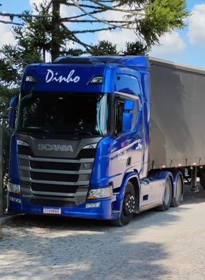 Foto Dinho Transportes