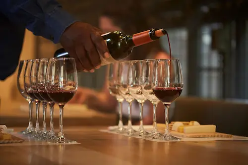 Foto Concha y Toro: Explore o Fascinante Universo do Vinho Chileno